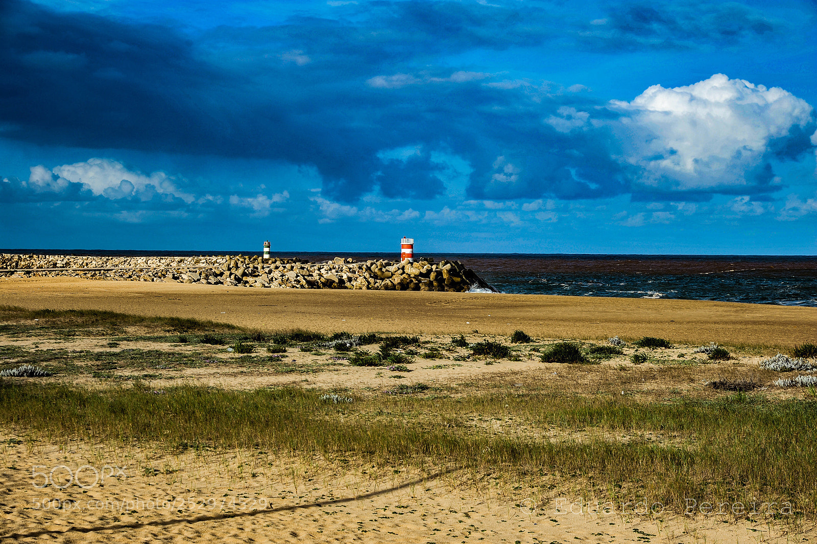 Nikon D700 sample photo. Untitled photography