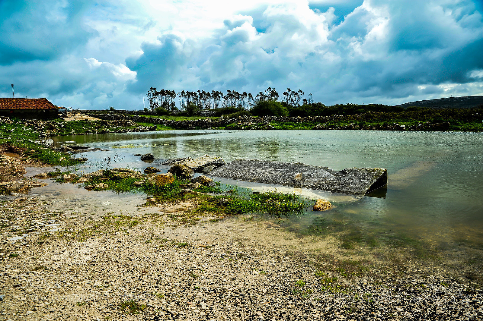 Nikon D700 sample photo. Untitled photography