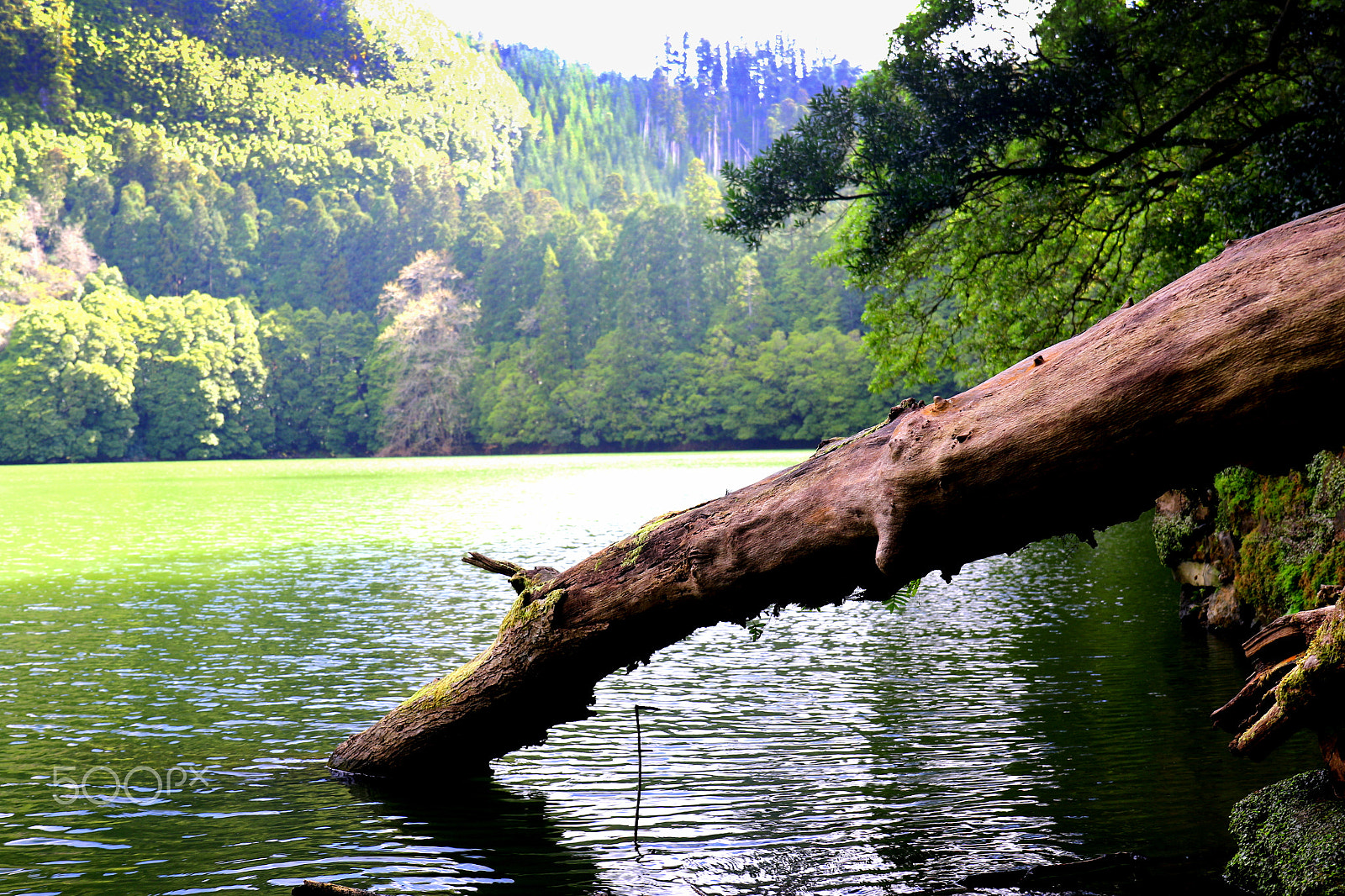 Canon EF 24-70mm F4L IS USM sample photo. Lagoon photography