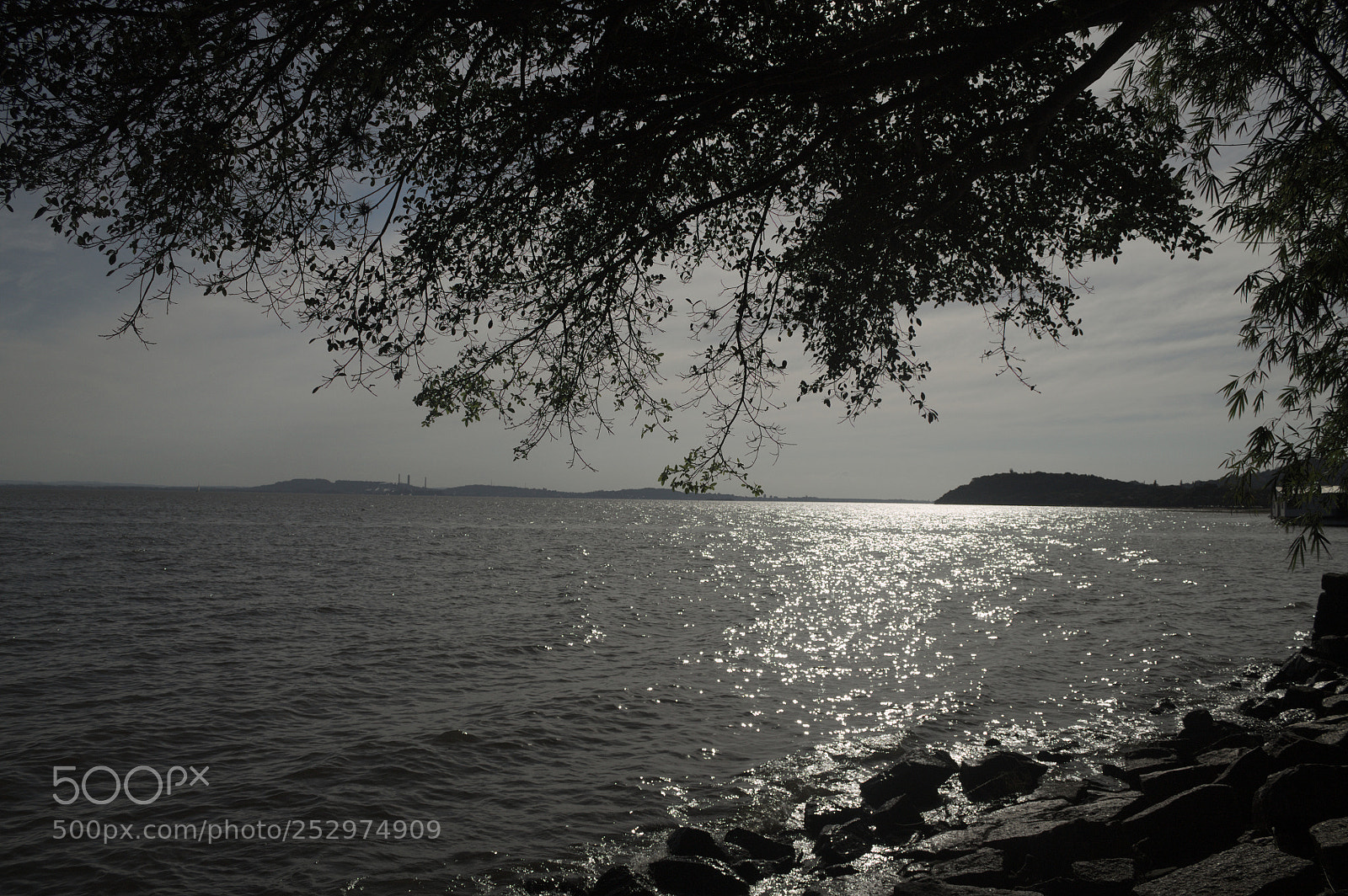 Canon EOS 1100D (EOS Rebel T3 / EOS Kiss X50) sample photo. "silver reflection" photography