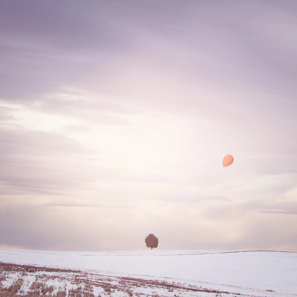 Canon EOS 5D Mark II sample photo. Letting it go! photography