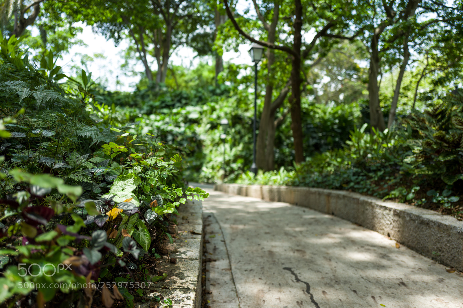 Leica Q (Typ 116) sample photo. The fort cannings in photography