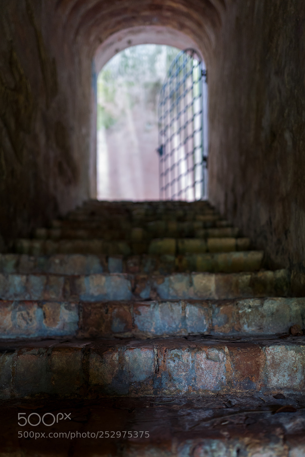 Leica Q (Typ 116) sample photo. The fort cannings in photography