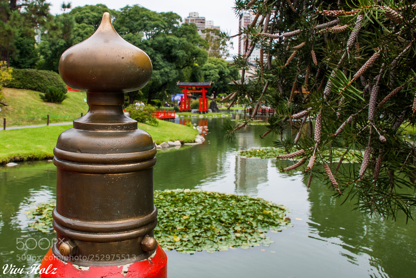 Nikon D7200 sample photo. Cultura japonesa en buenos photography