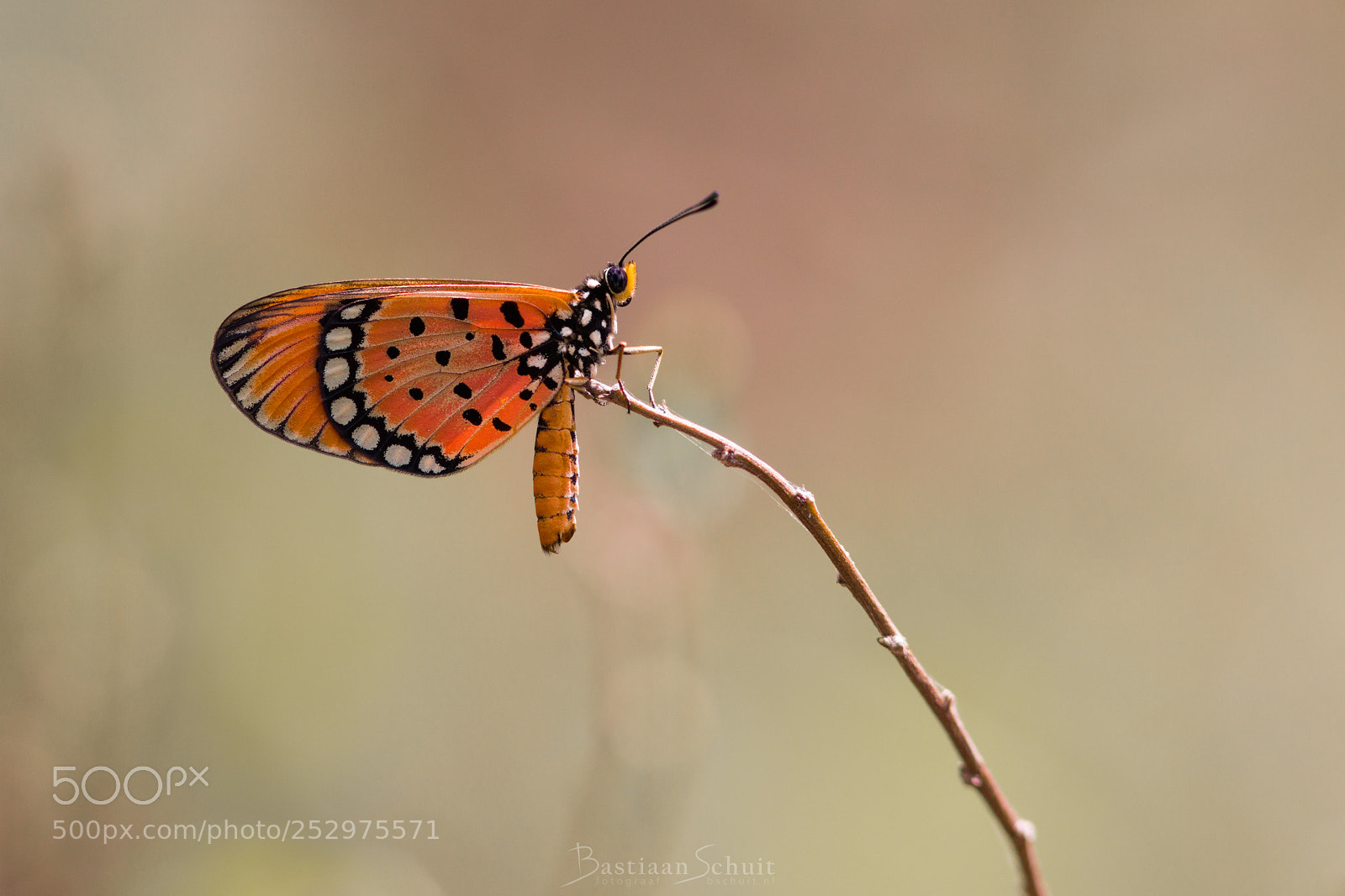 Canon EOS 5DS R sample photo. A moment of rest photography