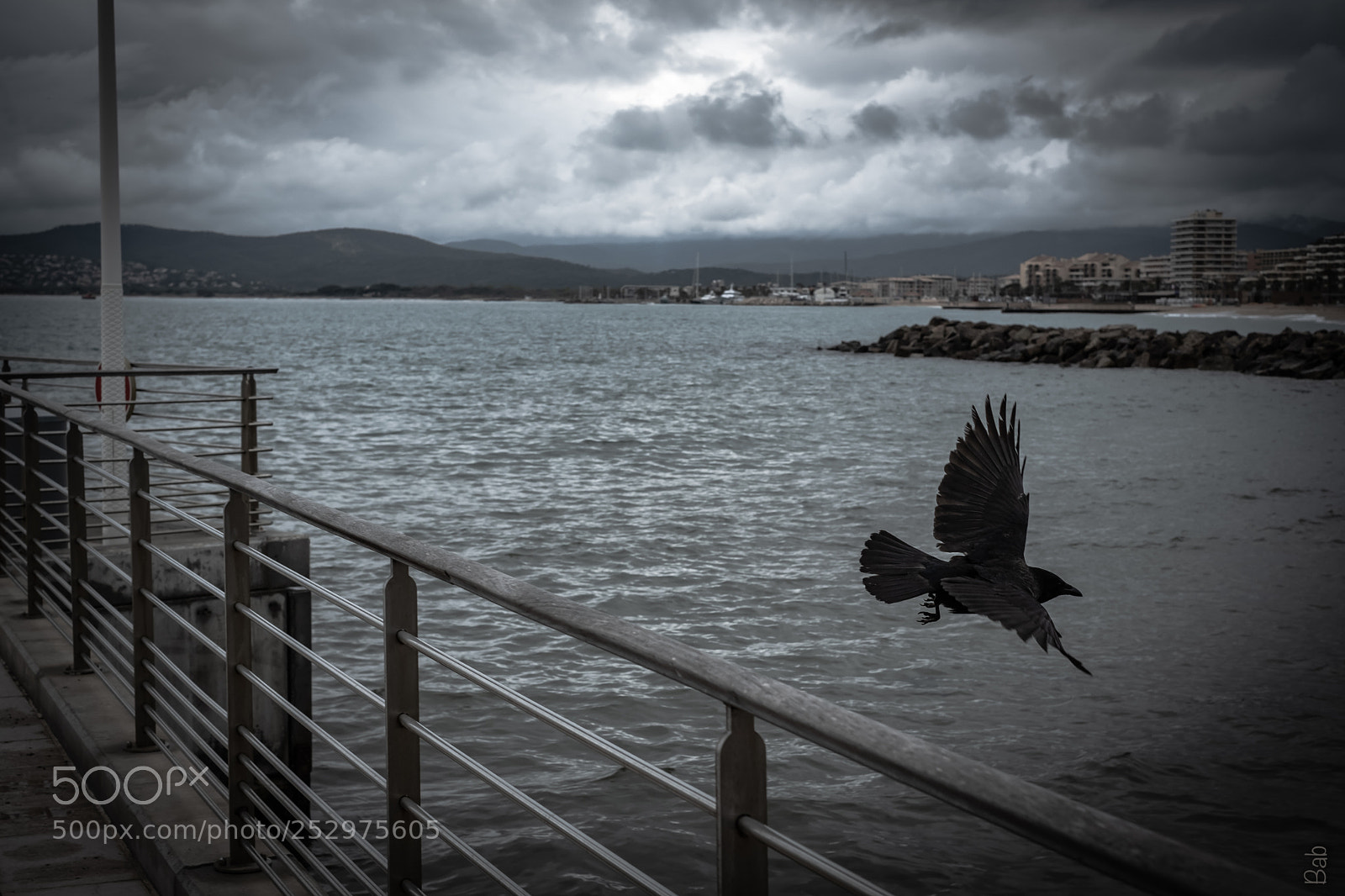 Fujifilm X-T2 sample photo. Sea sun & crow photography