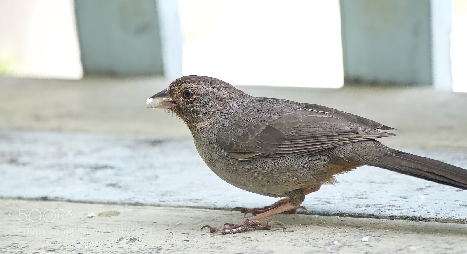 Nikon D3300 sample photo. Got it photography