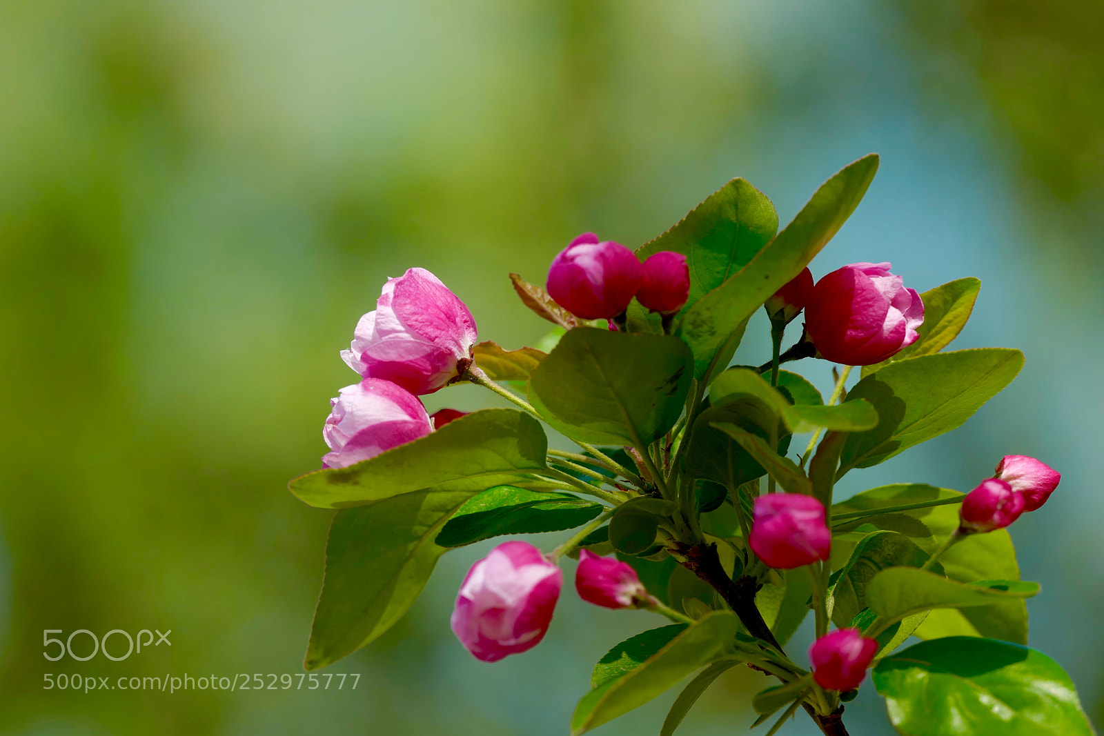Leica SL (Typ 601) sample photo. Untitled photography