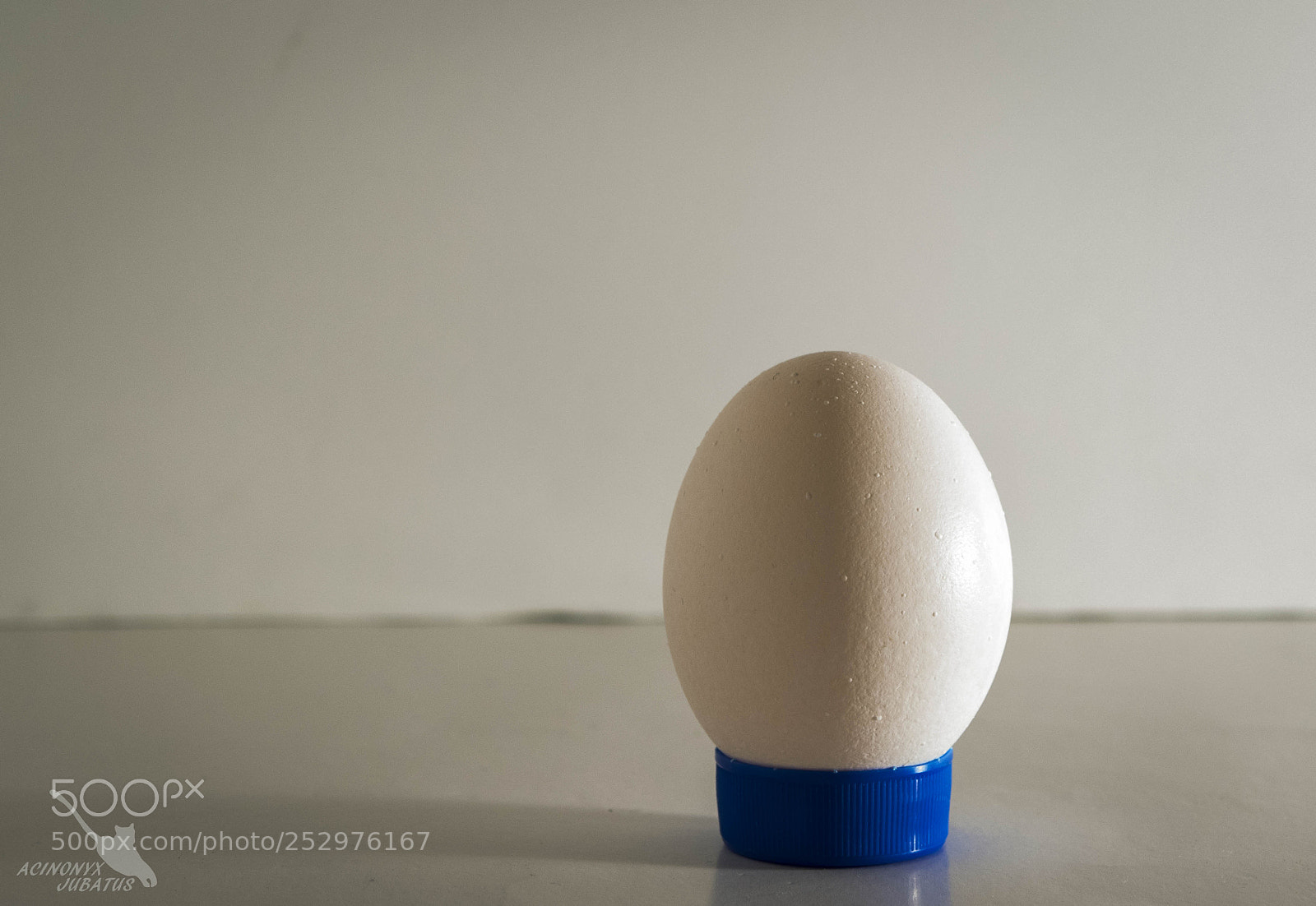 Nikon D5500 sample photo. Rembrant light photography