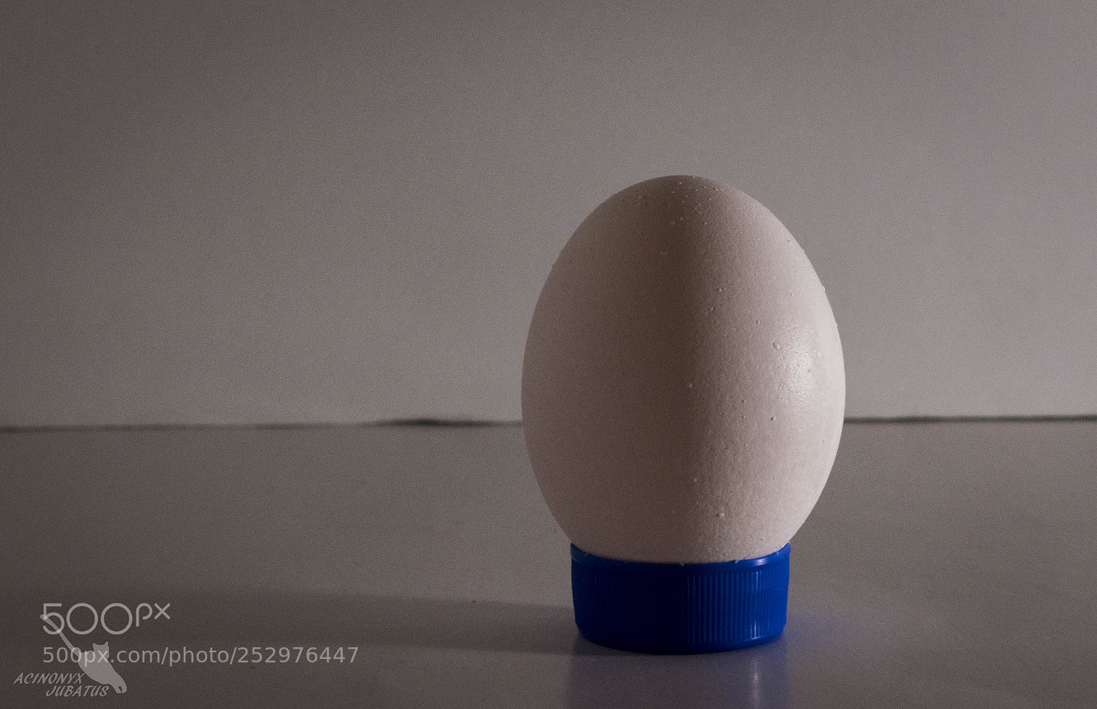 Nikon D5500 sample photo. Split light photography