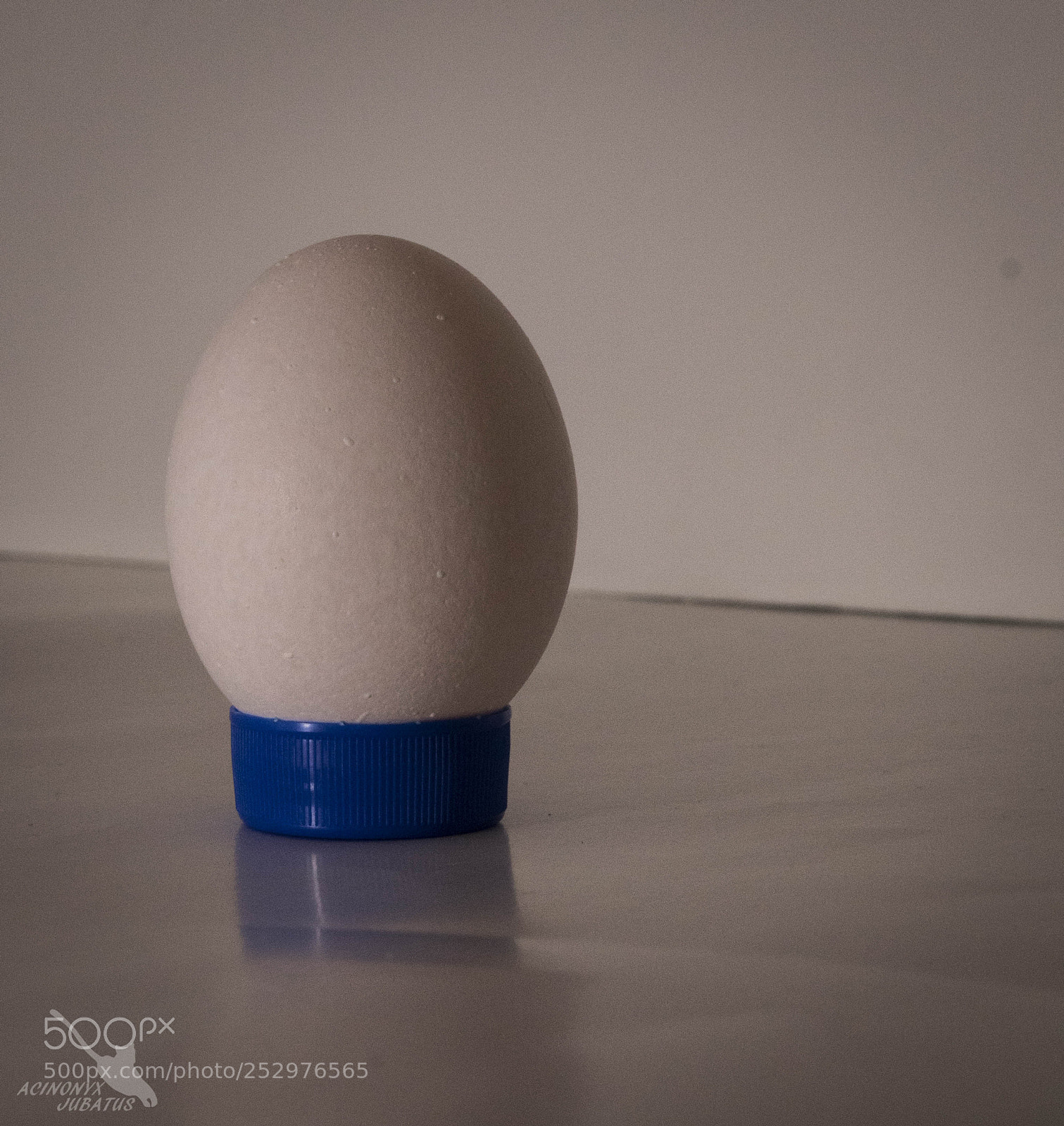Nikon D5500 sample photo. Broad light photography