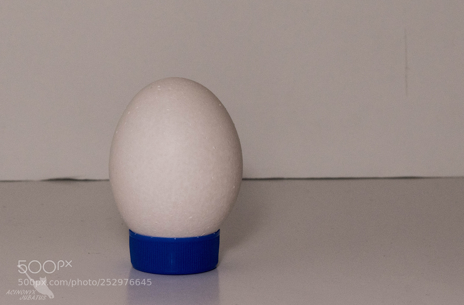 Nikon D5500 sample photo. Butterfliy light photography