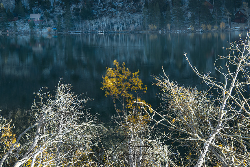 Nikon D800E sample photo. Light blue photography