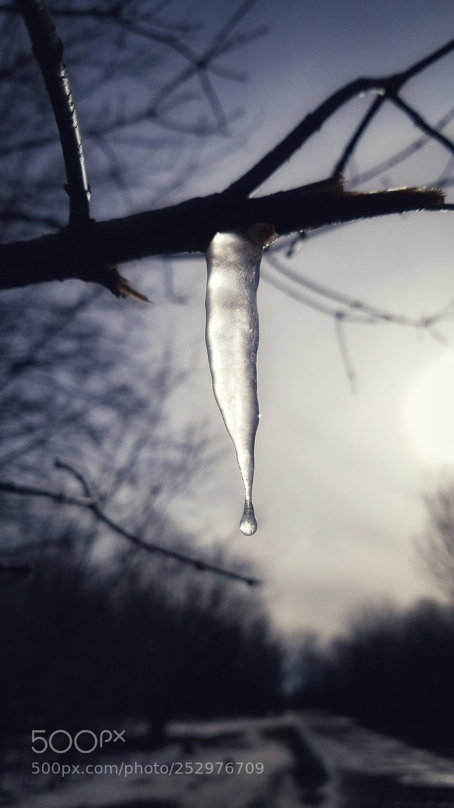 Samsung Galaxy S8+ sample photo. Icecicle photography