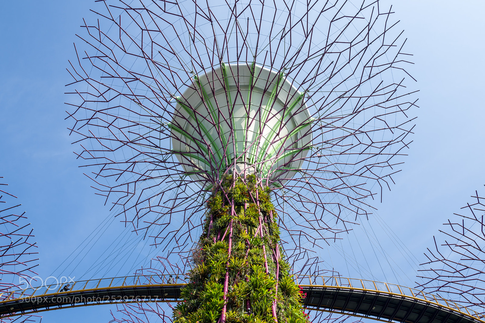 Leica Q (Typ 116) sample photo. Gardens by the bay photography