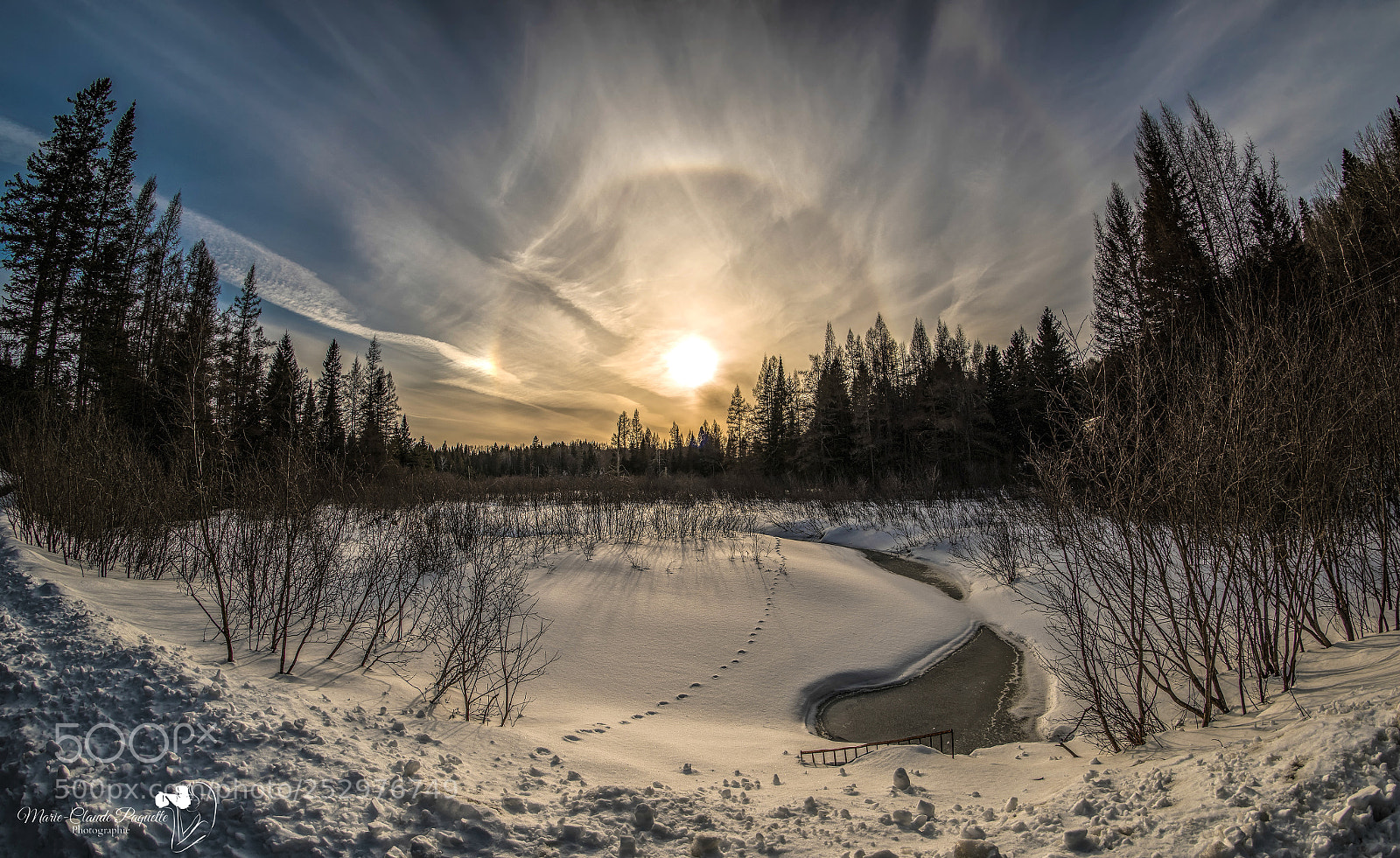 Nikon D810 sample photo. Coucher de soleil photography