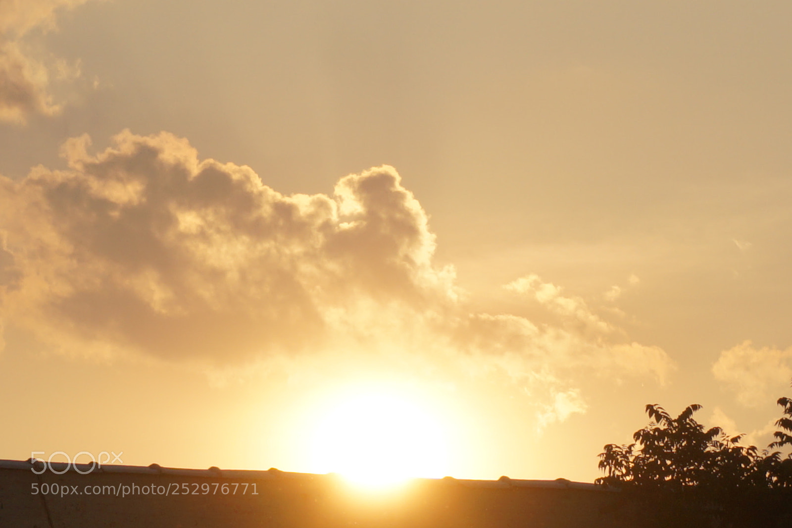 Sony a6000 sample photo. Dsc photography