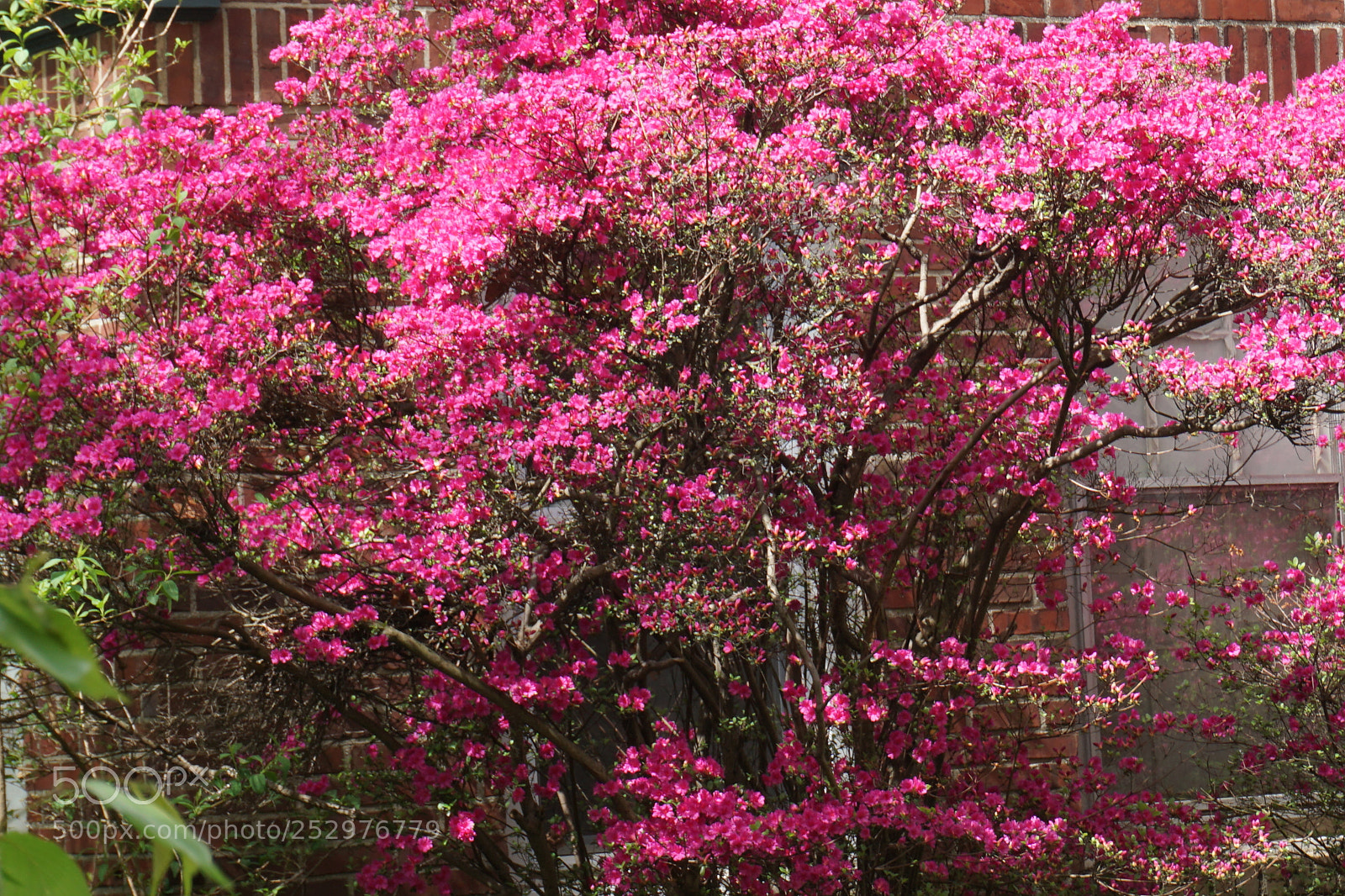 Sony a6000 sample photo. Dsc photography