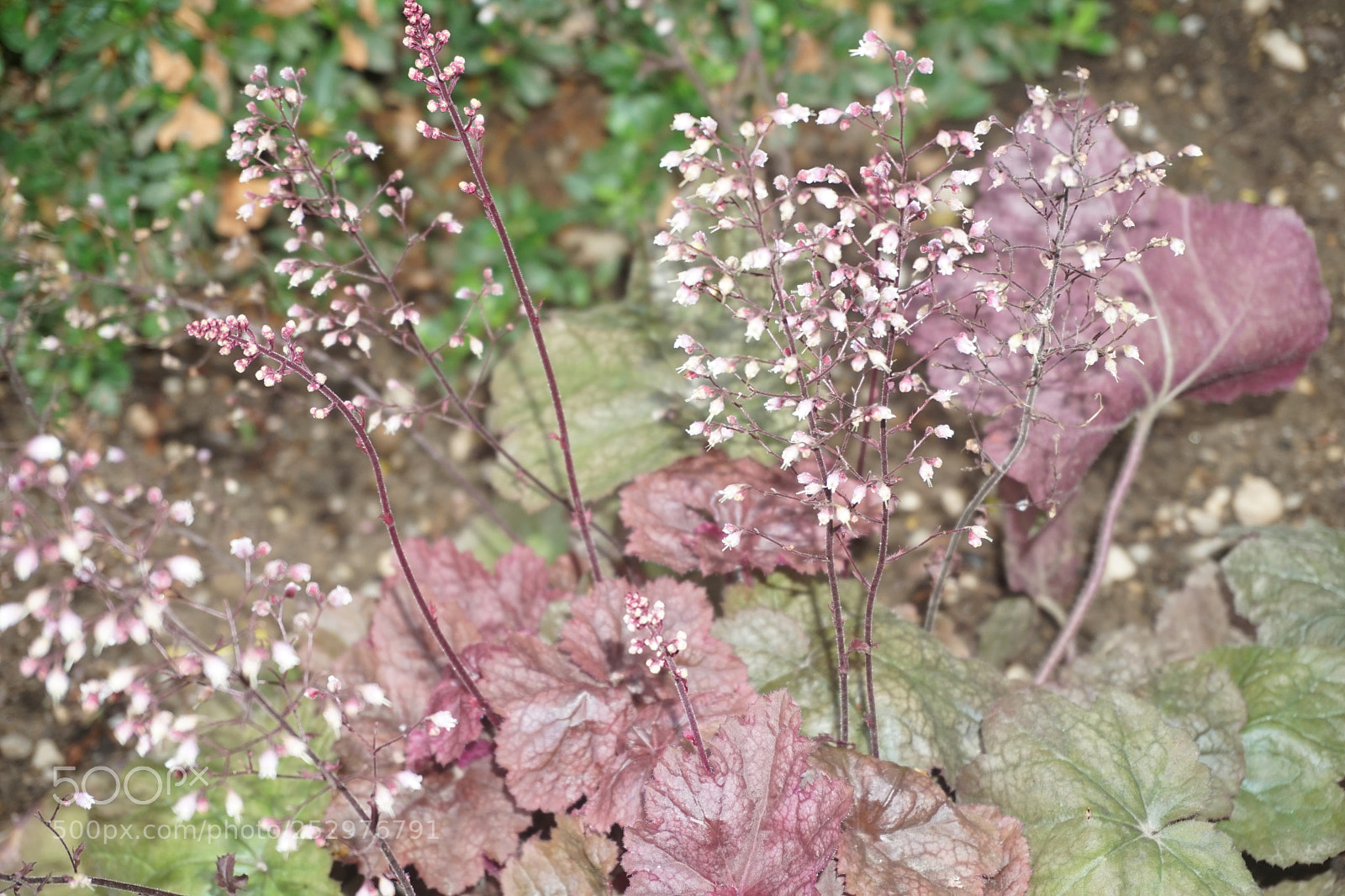 Sony a6000 sample photo. Dsc photography