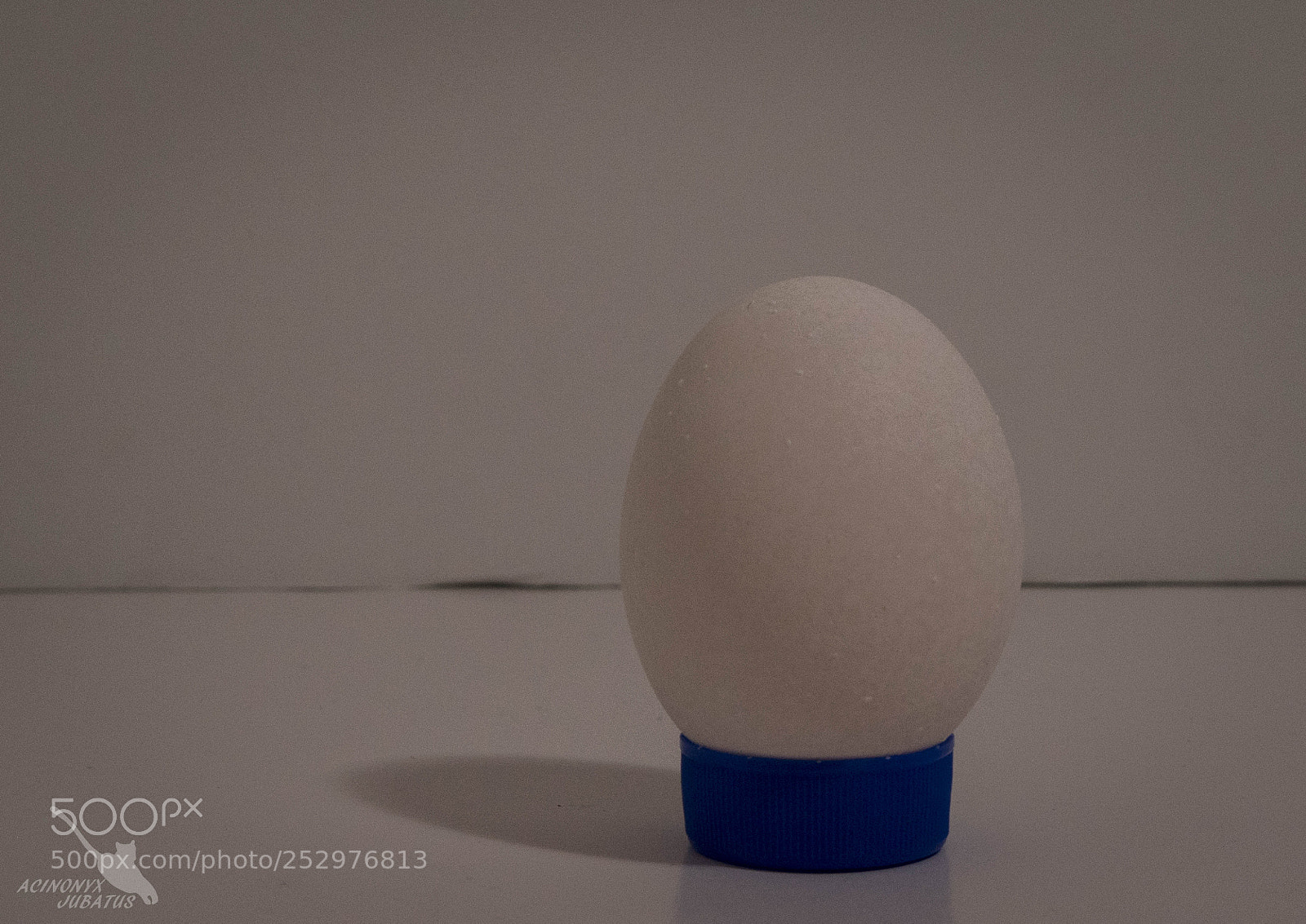 Nikon D5500 sample photo. Semilateral photography