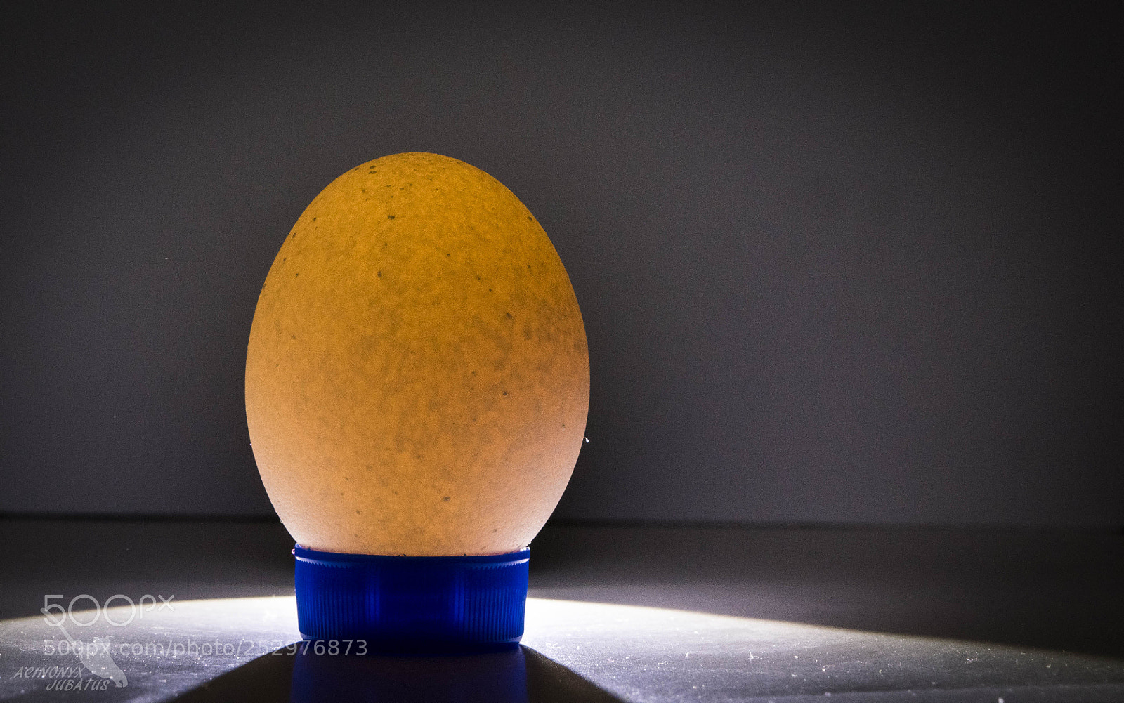 Nikon D5500 sample photo. Contraluz photography