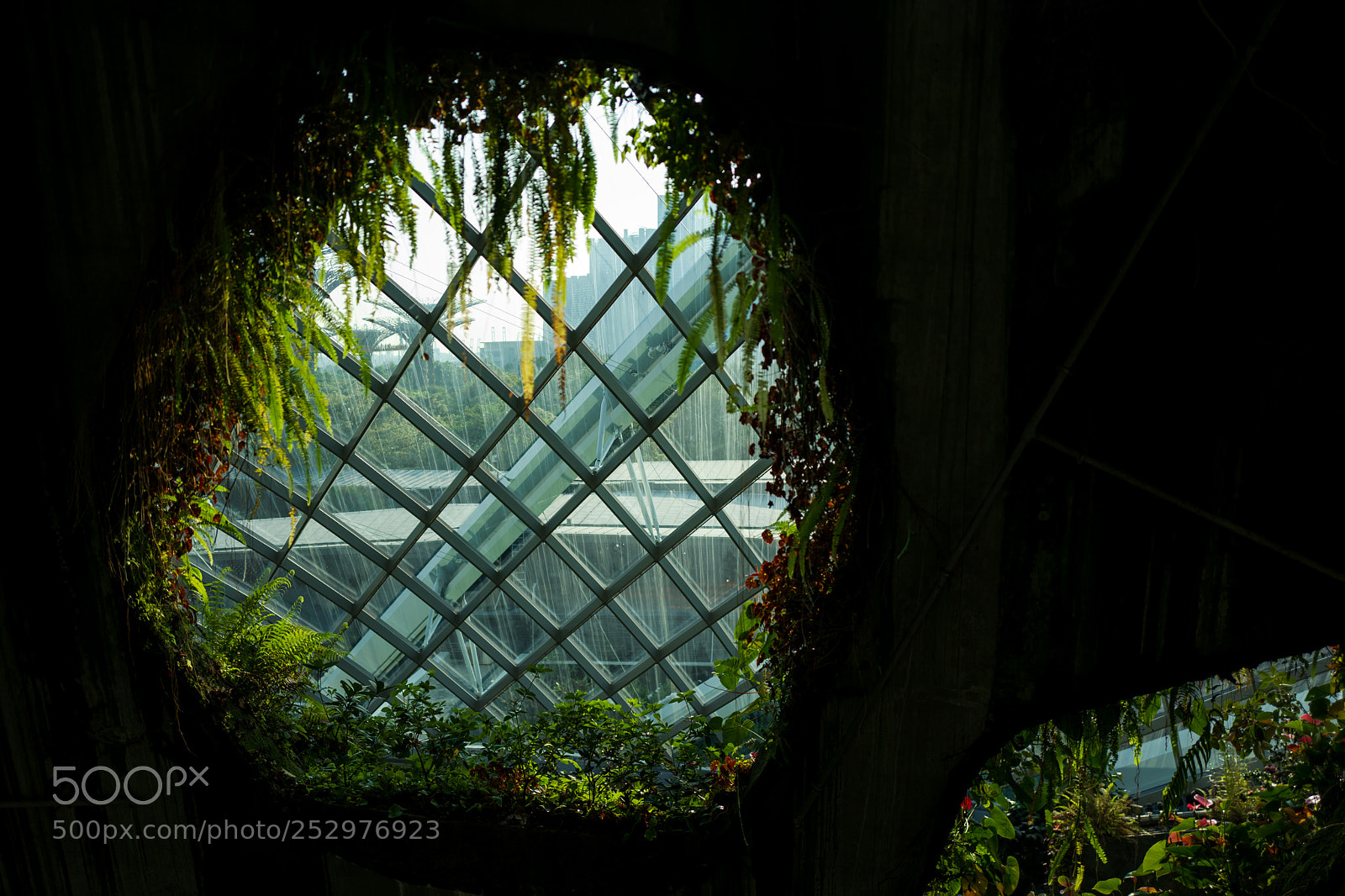Leica Q (Typ 116) sample photo. The cloud forest in photography