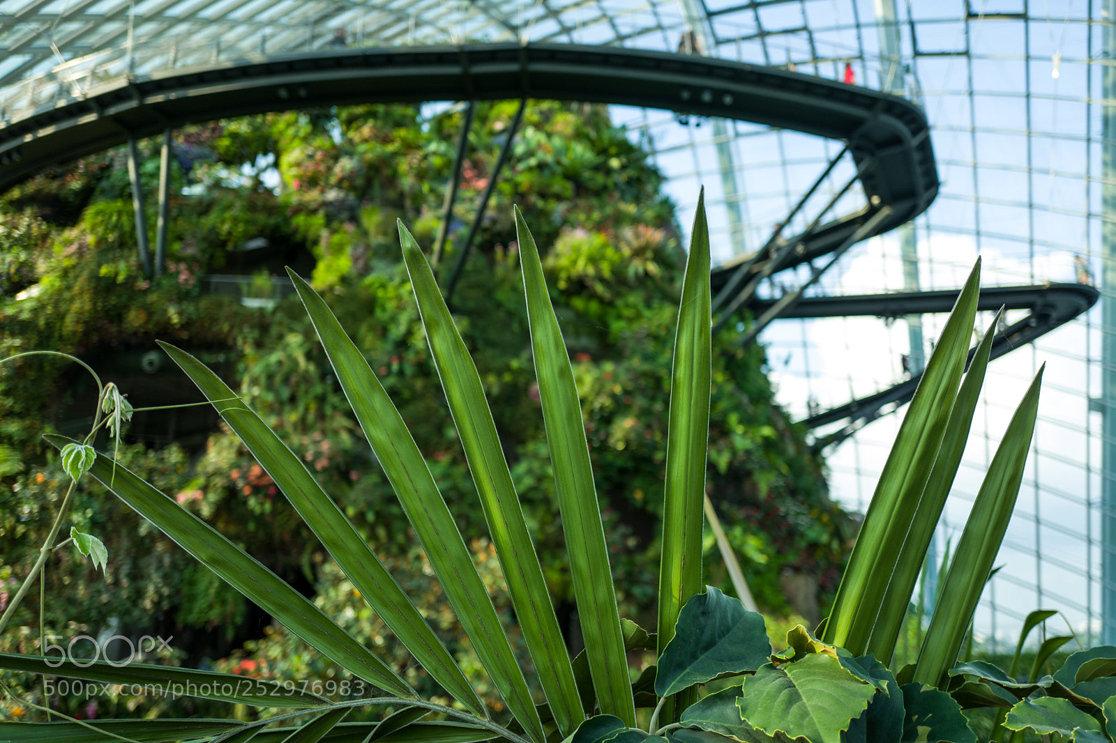 Leica Q (Typ 116) sample photo. The cloud forest in photography