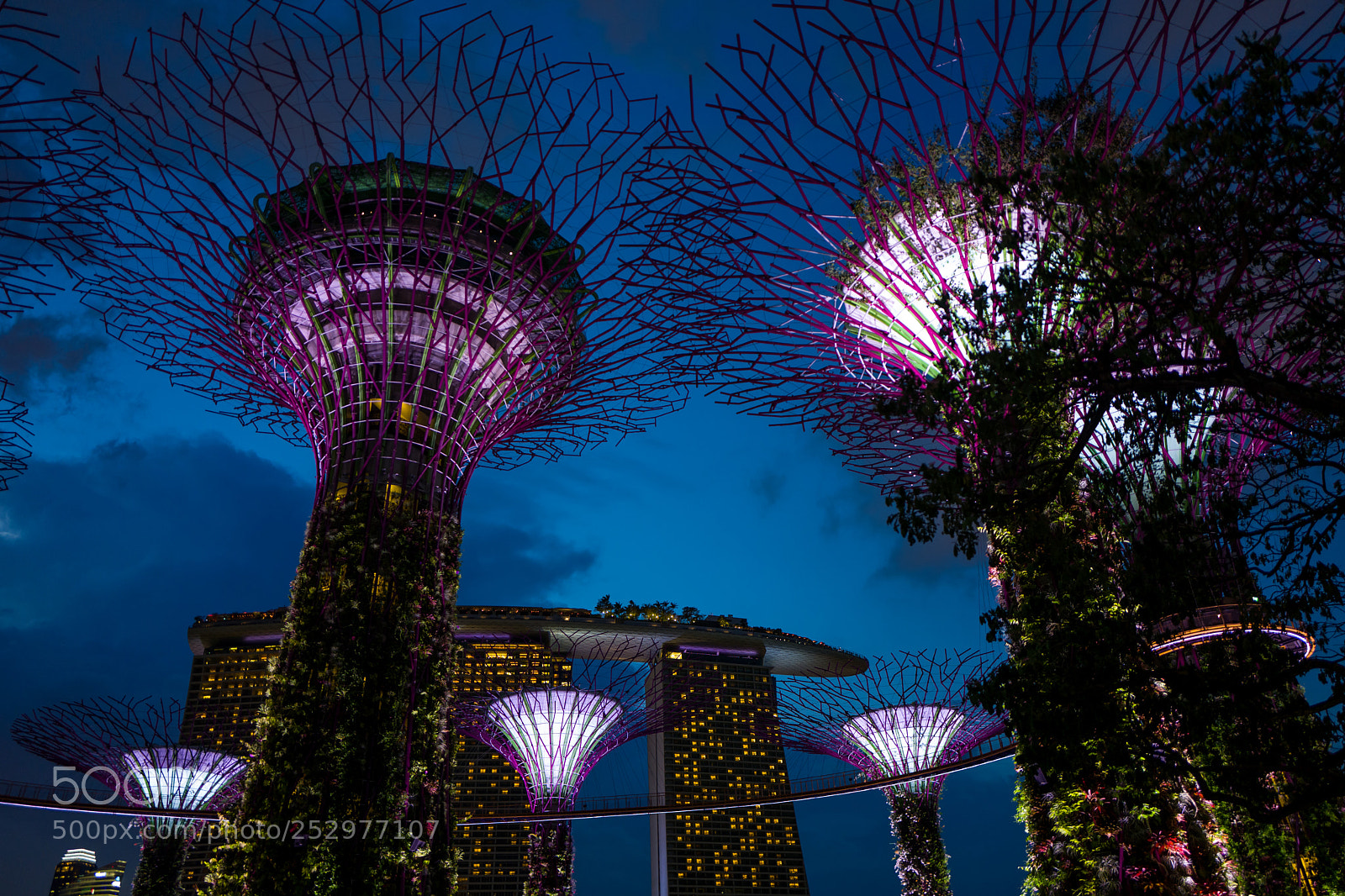 Leica Q (Typ 116) sample photo. Gardens by the bay photography