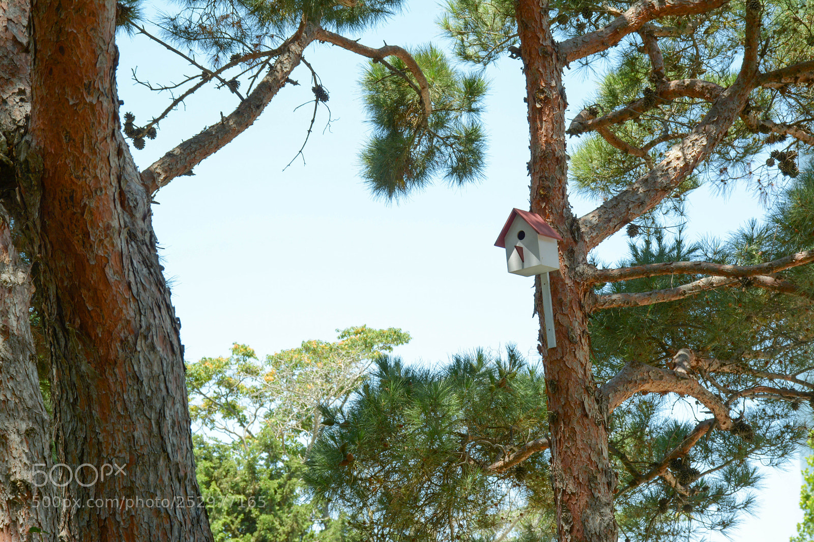 Nikon D7100 sample photo. Untitled photography