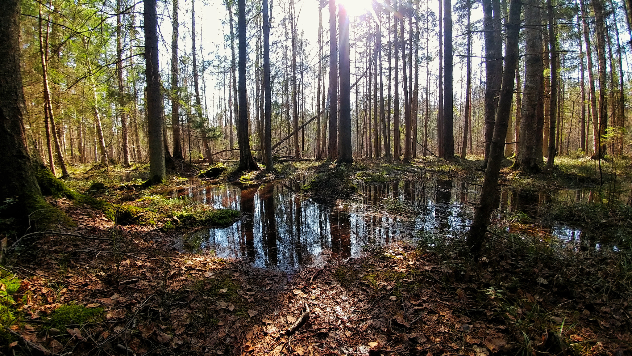 LG G5 SE sample photo. Untitled photography
