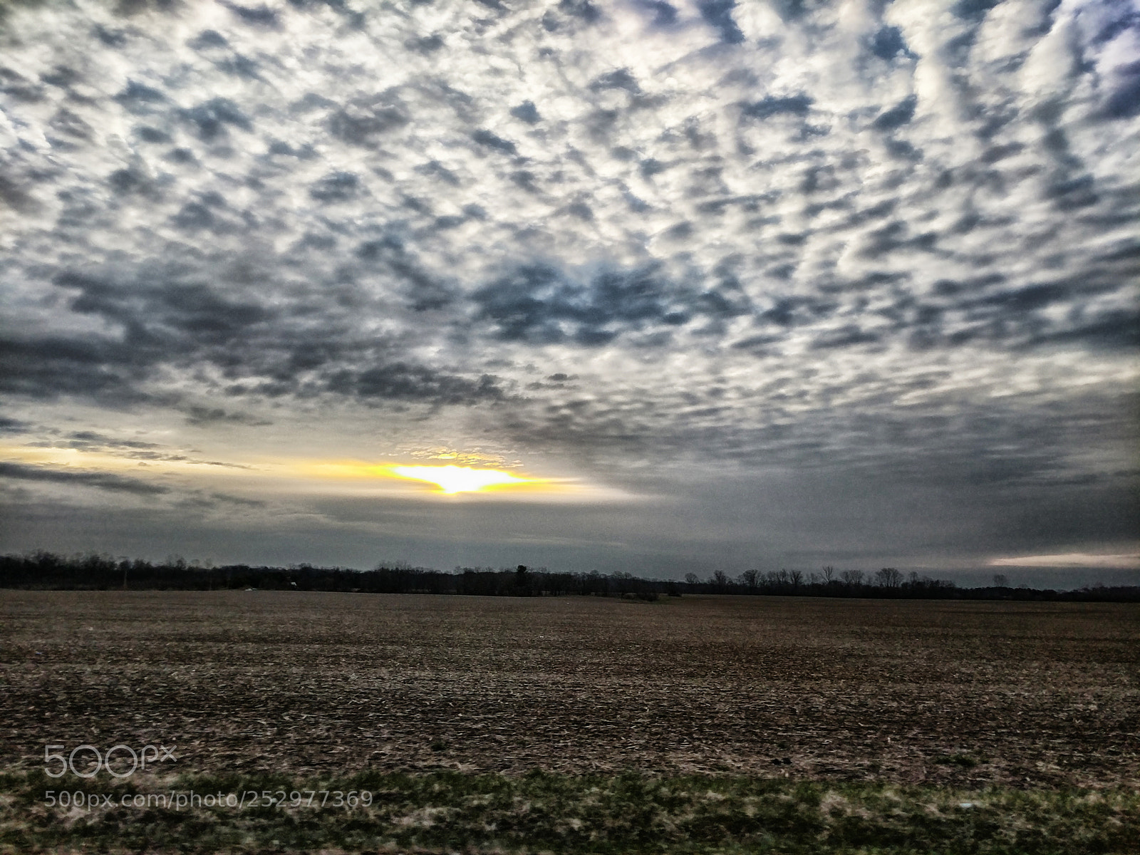 Google Pixel XL sample photo. Sunrise field photography