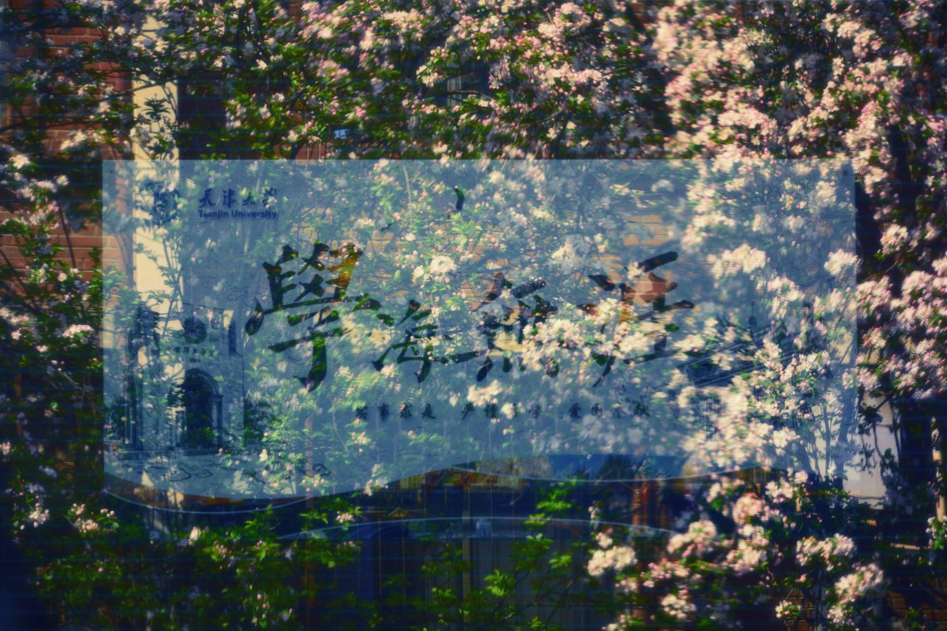 Nikon D800 sample photo. No end of learning 学海无涯 photography