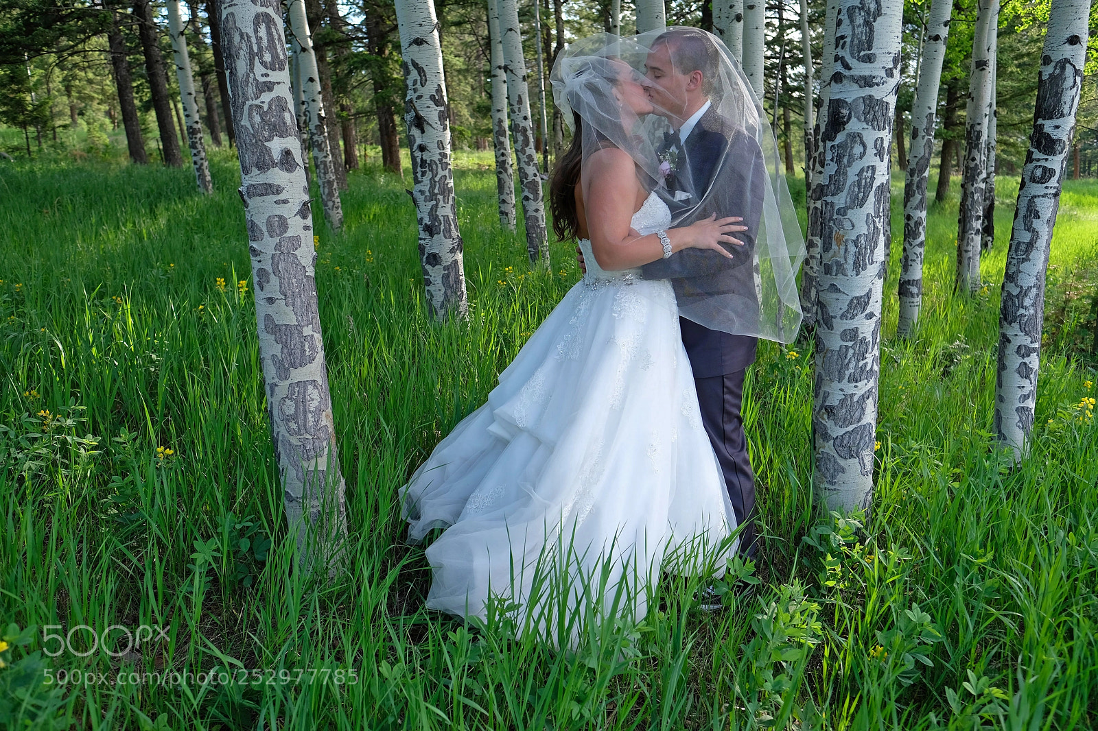 Fujifilm X-Pro2 sample photo. Colorado forest kiss photography