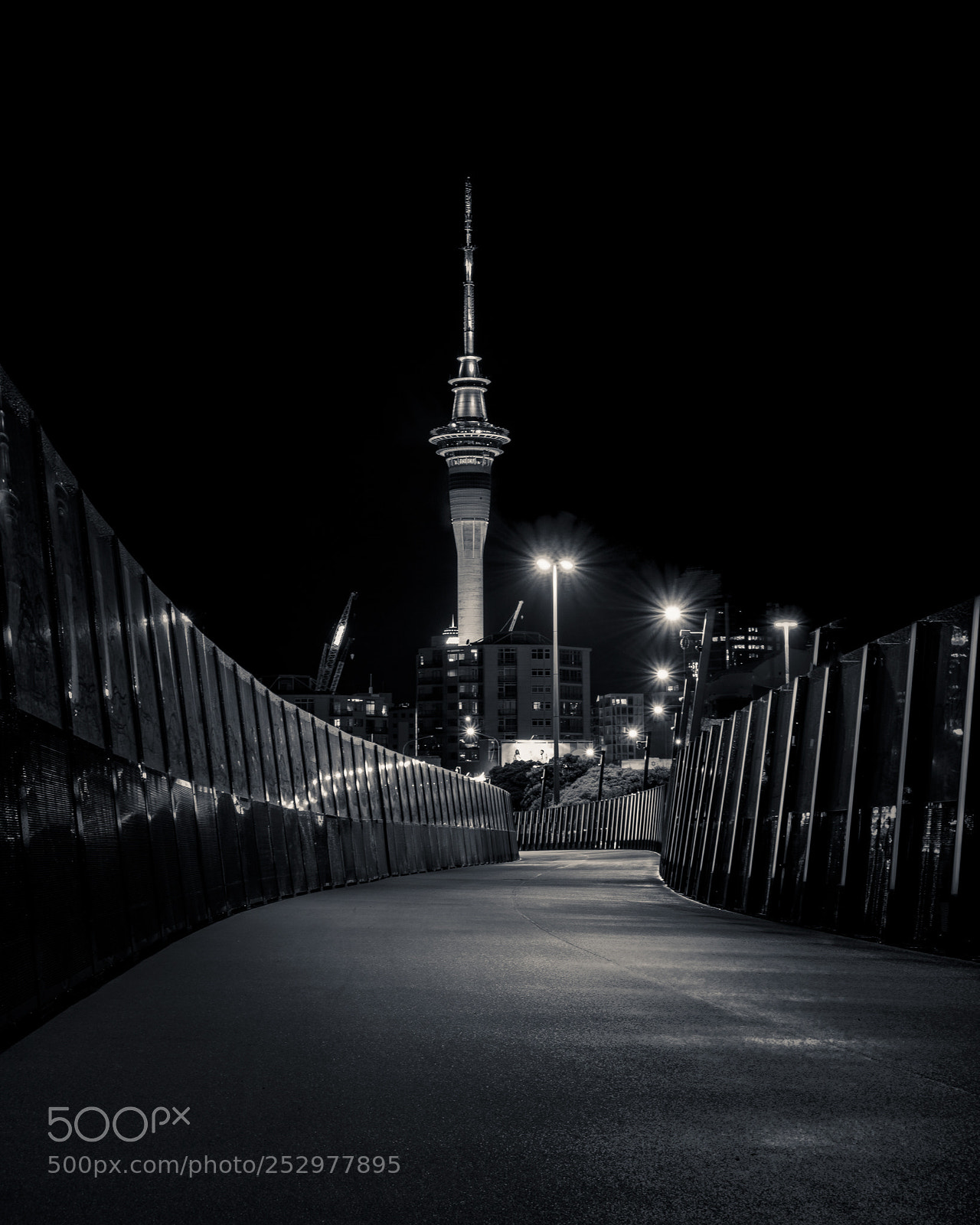 Fujifilm X-T2 sample photo. _dsf2975-5.jpg photography