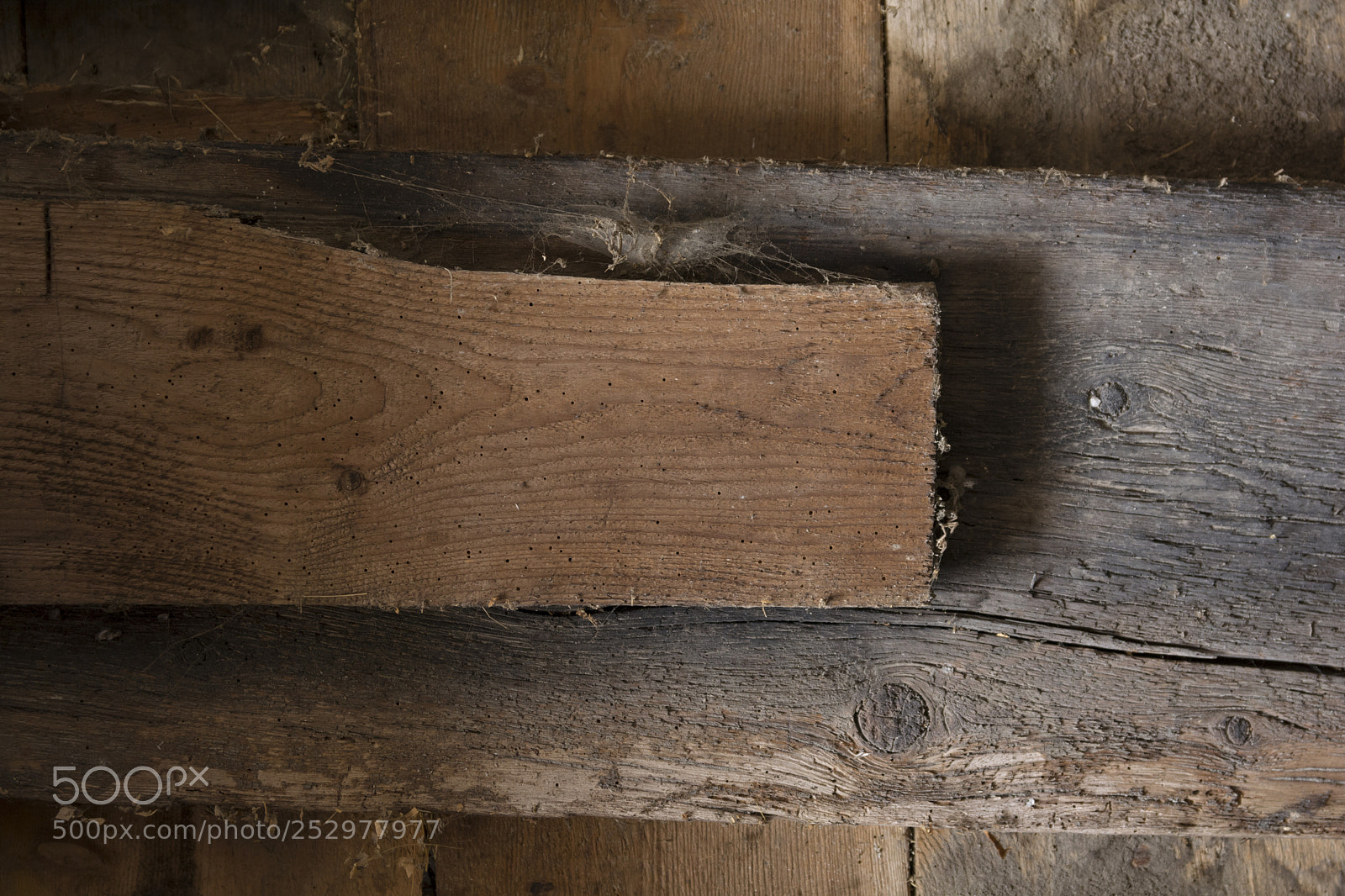 Nikon D7100 sample photo. Old wood photography