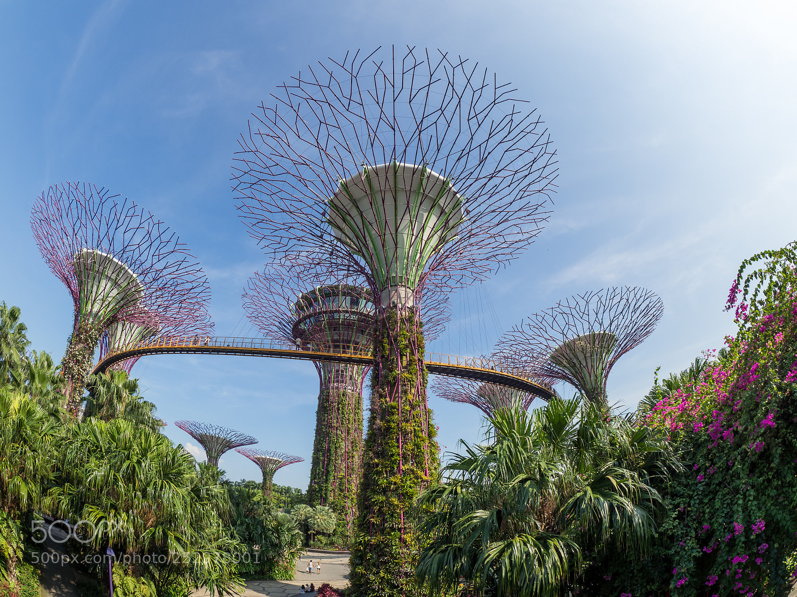 Olympus OM-D E-M10 II sample photo. Gardens by the bay photography