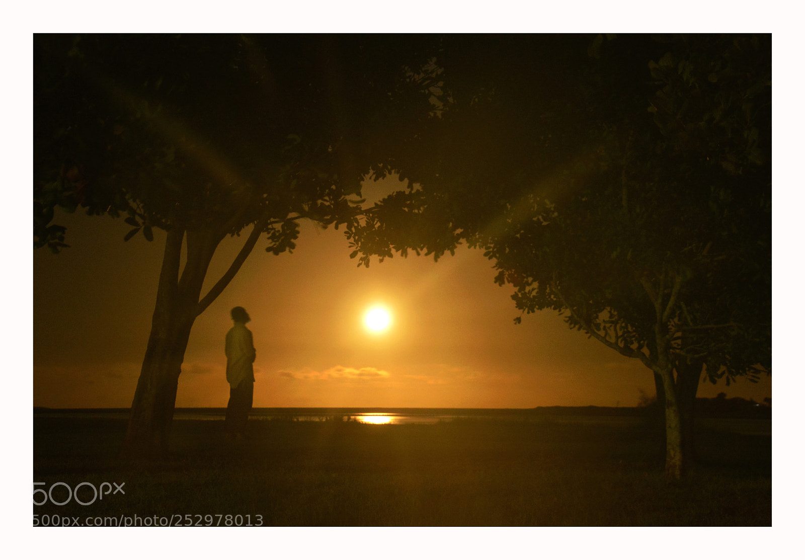 Nikon D7100 sample photo. Moon rising photography