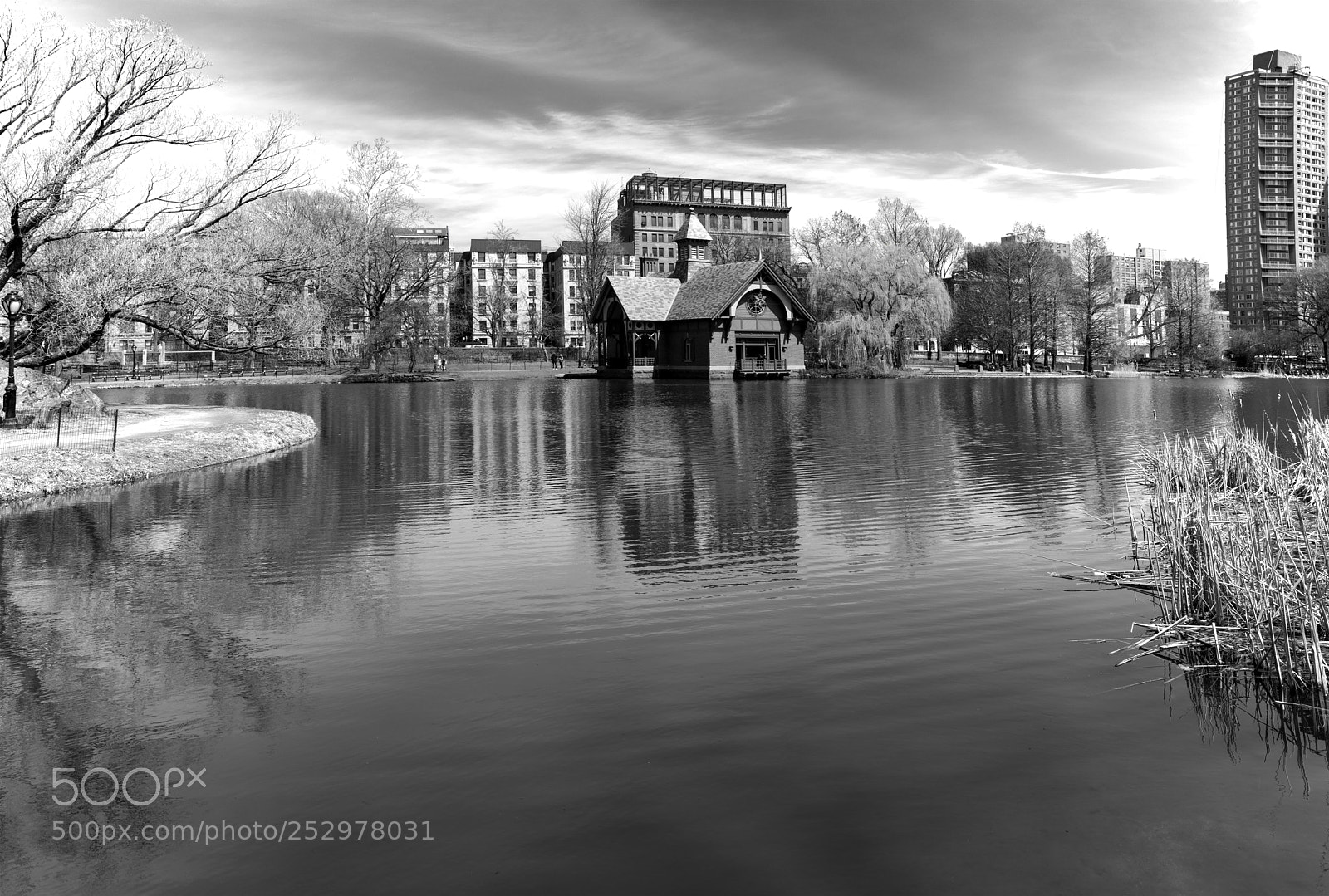Sony a7R II sample photo. The harlem meer photography