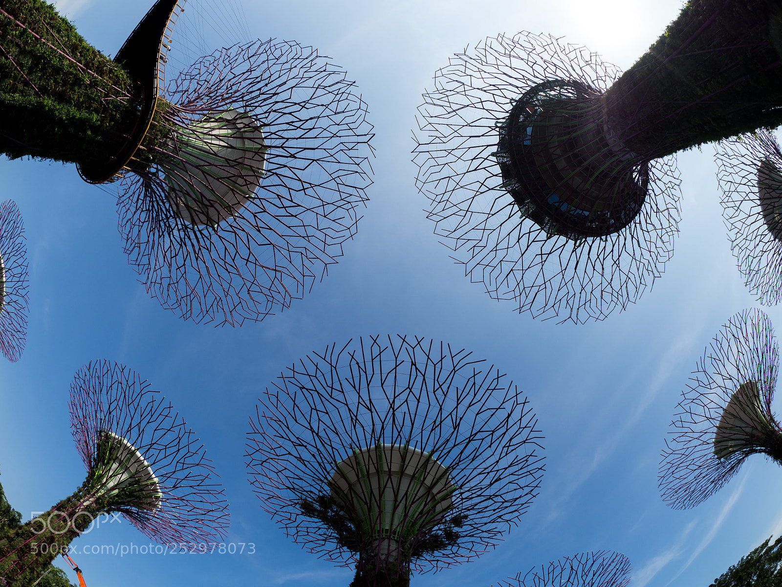 Olympus OM-D E-M10 II sample photo. Gardens by the bay photography