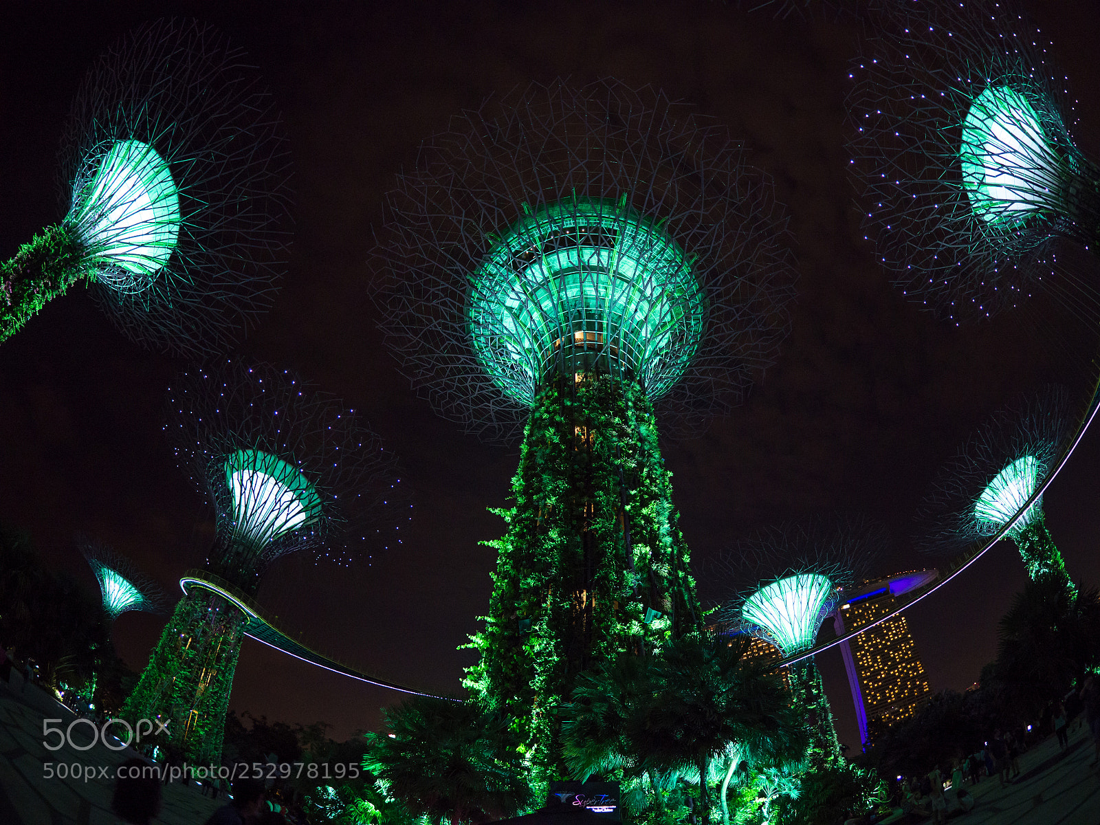 Olympus OM-D E-M10 II sample photo. Gardens by the bay photography