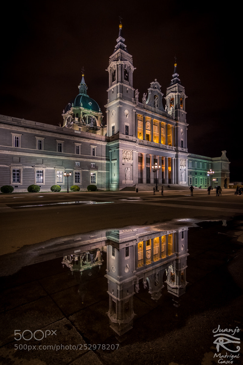 Nikon D7200 sample photo. Mirrored photography
