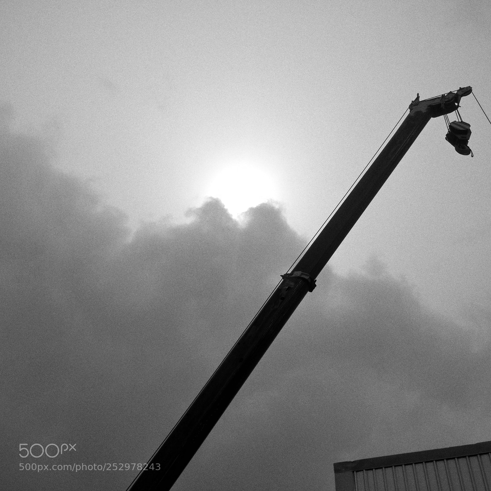 Xiaomi MI 5 sample photo. Crane photography