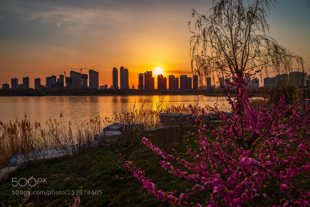 Canon EOS 6D Mark II sample photo. Spring sunset photography