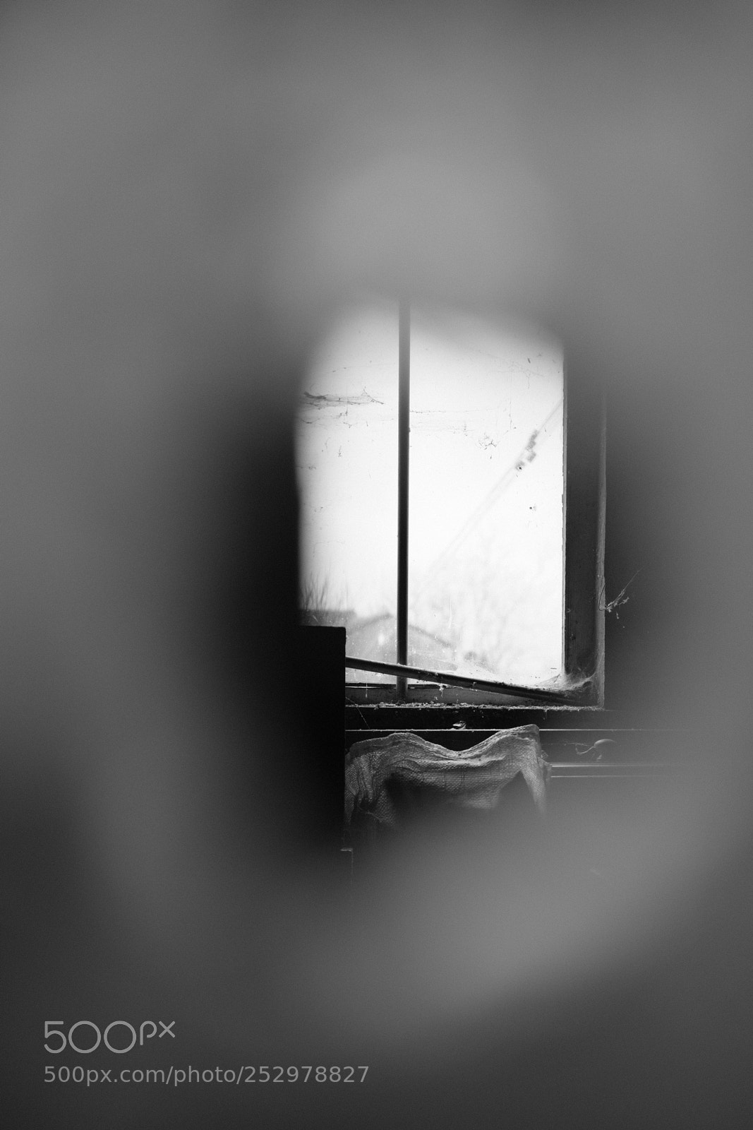 Fujifilm X-T2 sample photo. Untitled photography