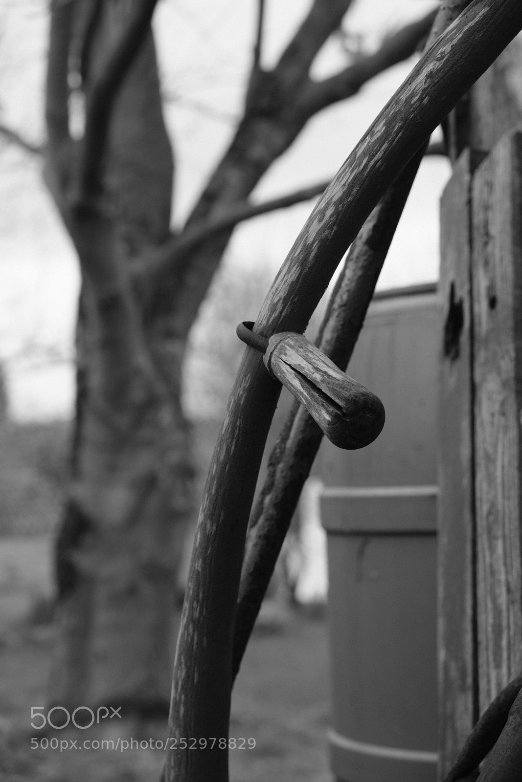 Fujifilm X-T2 sample photo. Untitled photography