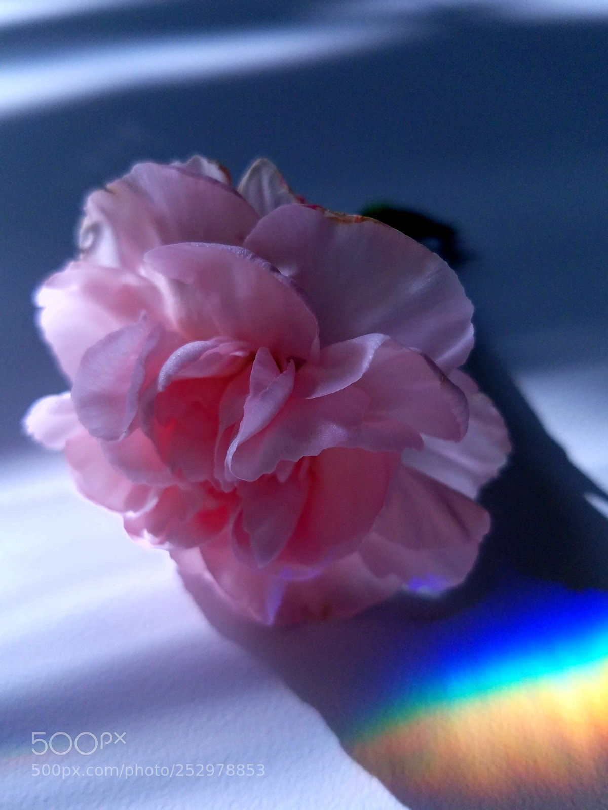 Samsung Galaxy S7 Edge sample photo. Rainbow shadow photography