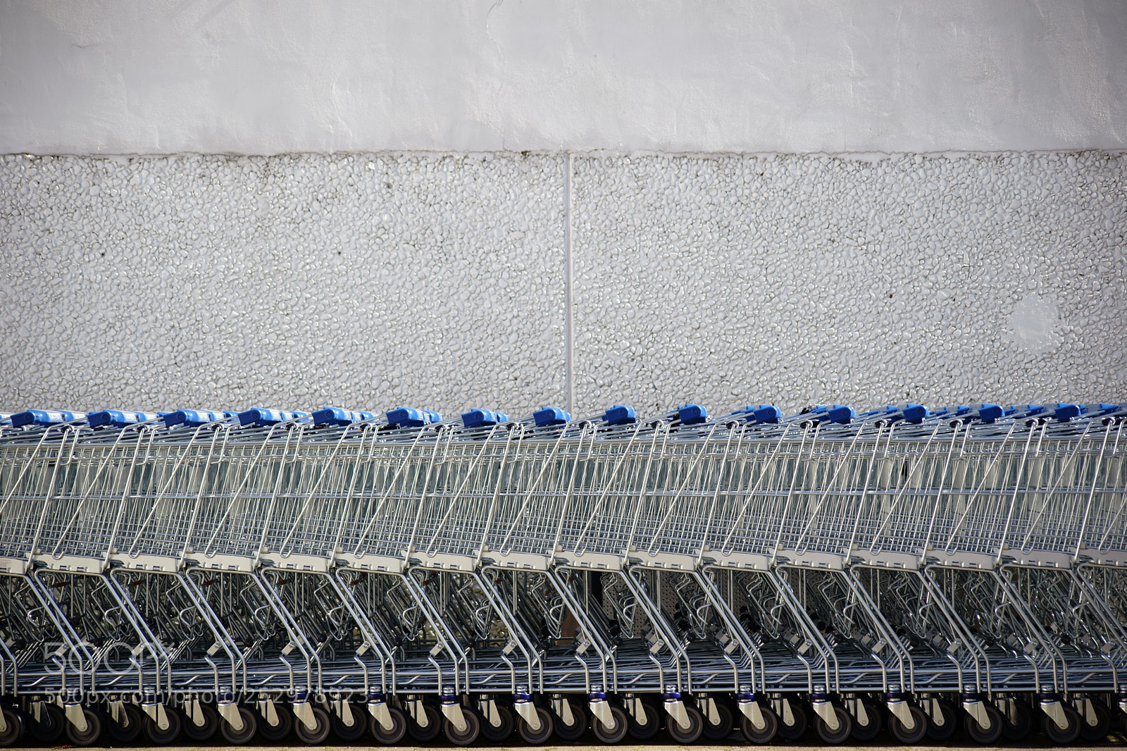 Sony a7 II sample photo. Mated shopping cart photography