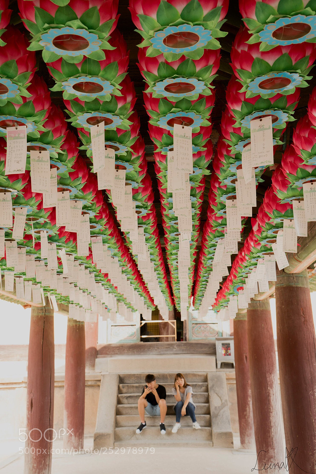 Sony a7R II sample photo. Some breaks under lotus photography