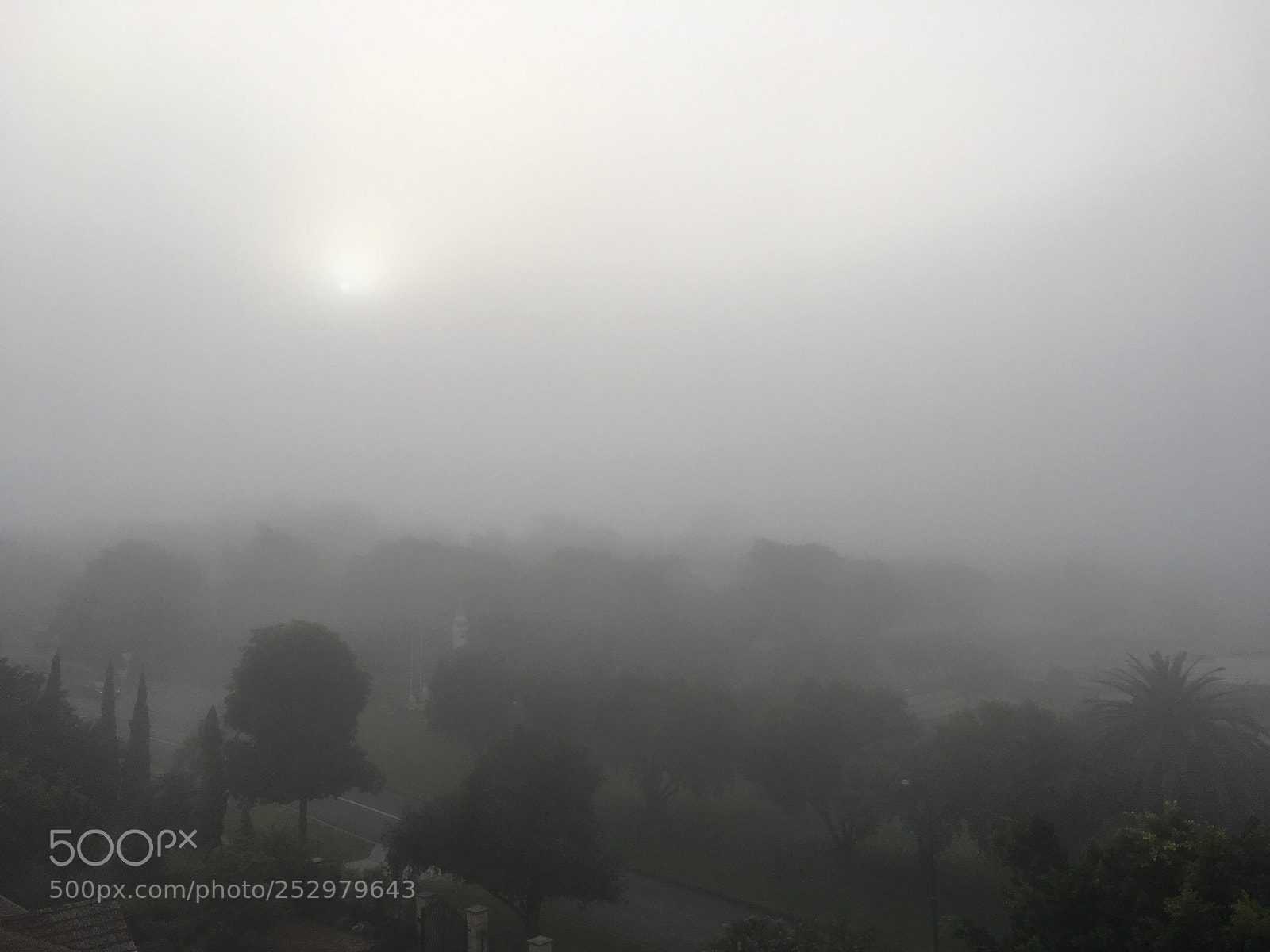 Apple iPhone 6s sample photo. Foggy morning photography