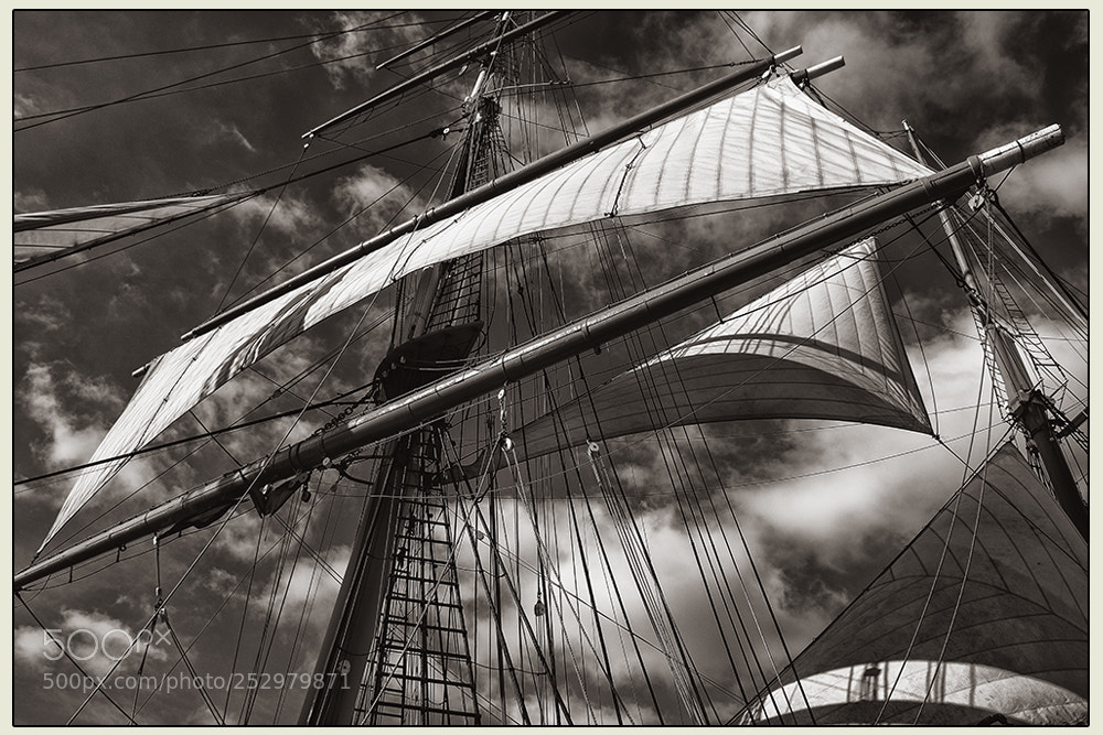 Nikon D500 sample photo. Sails photography